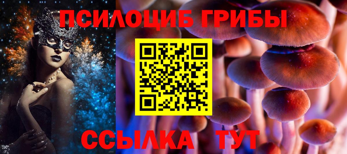 Борисоглебск  Галлюциногенные грибы MAGIC MUSHROOMS  Вход с VPN 